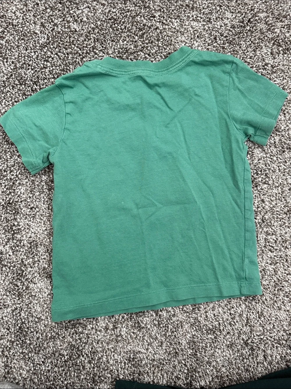 Patagonia Green Kids Tee with Turtle Graphic and Coral Accents